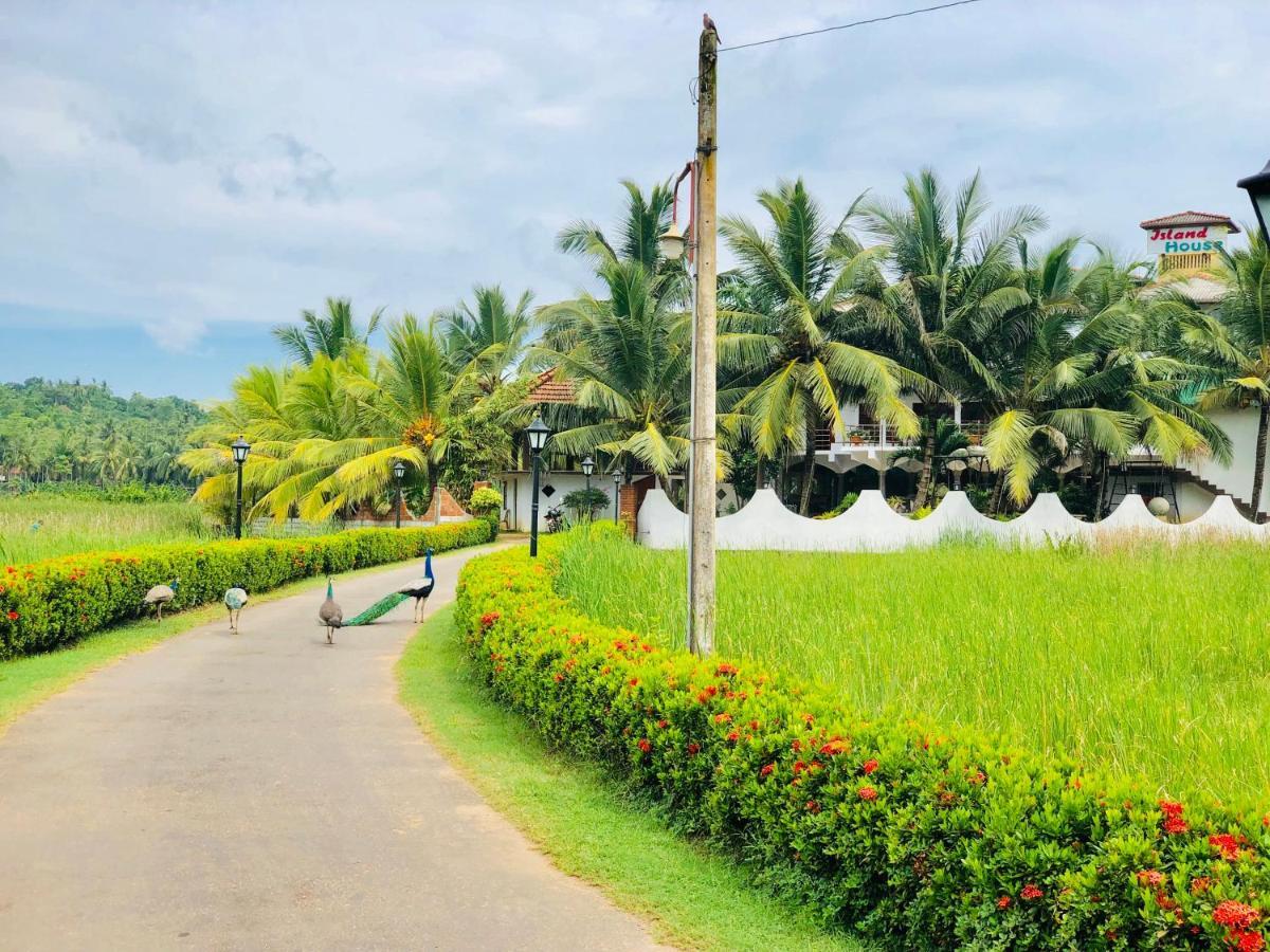 Hotel Island House Dikwella Exterior foto
